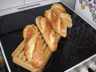 Mon levain liquide inratable (5)