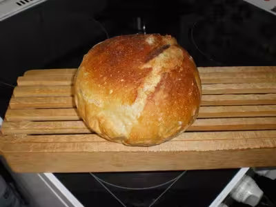 Mon levain liquide inratable (5)