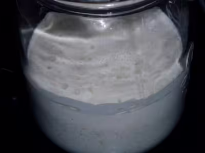 Mon levain liquide inratable (2)