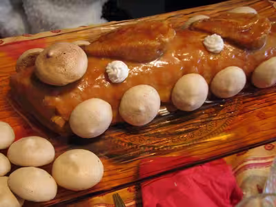 Recherche recettes d'inserts pour gouttière à bûche