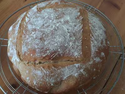 Mon levain liquide inratable (11)