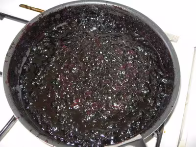 Il était une fois ... une tarte aux myrtilles râtée !+ pho