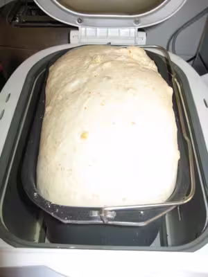 Mon levain liquide inratable (10)