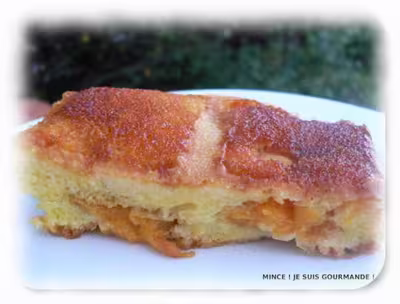 Thermomix: Gâteau aux abricots, caramel et rhum WW