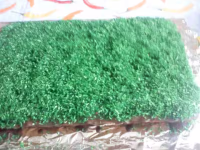 Gâteau au chocolat en terrain de foot