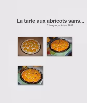 Recette WW : Tarte aux abricots sans pâte