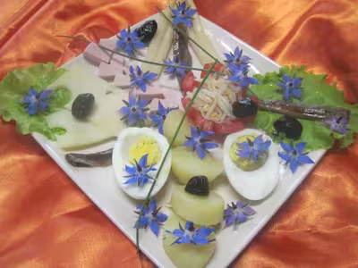 Bellerette d'assiette aux fleurs de bourrache