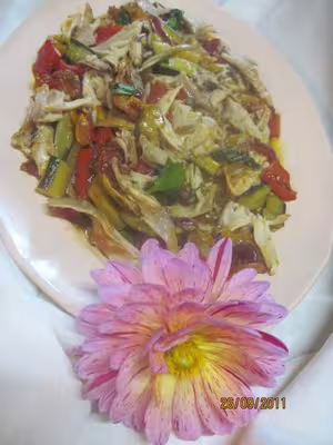 Blanc de poulet aux légumes et pâtes d'avoine + .photos.