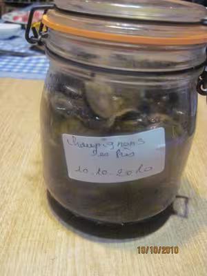Champignons des près stérilisés