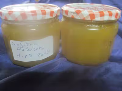 Confiture d'abricots au sirop de sucre et agar
