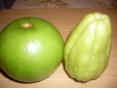 Post confitures spéciales