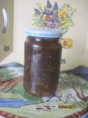Confiture de rhubarbe et d'angélique par Tatie21