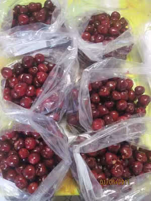 Congélation des cerises