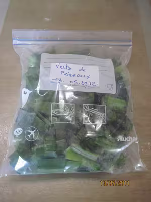Congélation du vert de poireaux