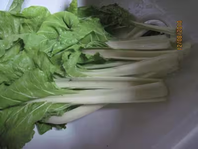 Côtes de blettes gratinées par Tatie21