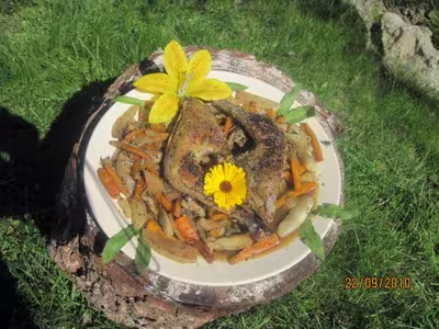 Cuisses de canard aux carottes et radis noirs rôtis