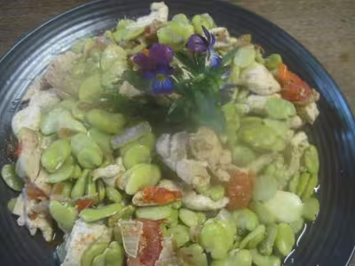 Émincé de poulet aux fèves