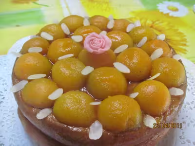 Gâteau aux abricots sans cuisson