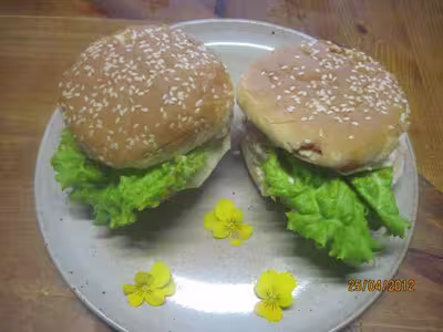 Hamburgers aux médaillons de saumon rose