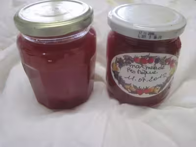 Marmelade de pastèque vanillée
