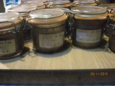Pâté de foie et de viande de porc aux herbes