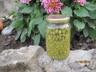 Petits pois frais stérilisés par Tatie21