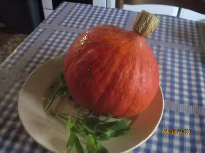 Stérilisation de purée de potimarron