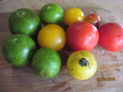 Sauce tomate aux 3 couleurs