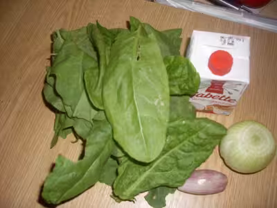 Soupe à l'oseille fraîche