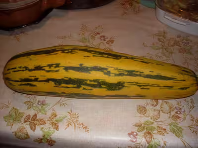 Courgettes farcies par Tatie21