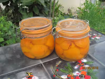 Abricots au sirop d'éclat