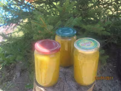 Stérilisation de soupe de courgettes et carottes