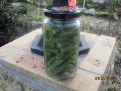 Haricots verts stérilisés