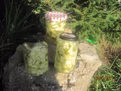 Stérilisation de dés de courgettes