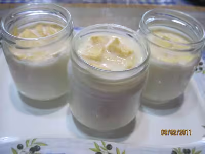 Yaourts aux dés de pommes