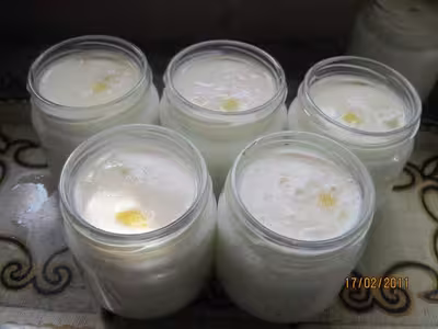 Yaourts aux zestes de citrons