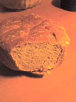 Mon levain liquide inratable (3)