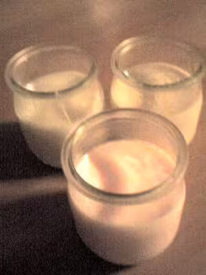 Recette Dukan: Yaourts maison au lait écrémé