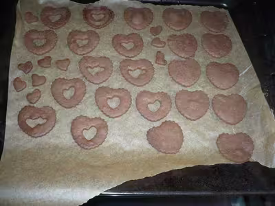 Biscuits au chocolat style BN