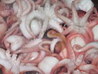 Salade de la mer