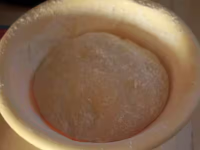 Mon levain liquide inratable (10)