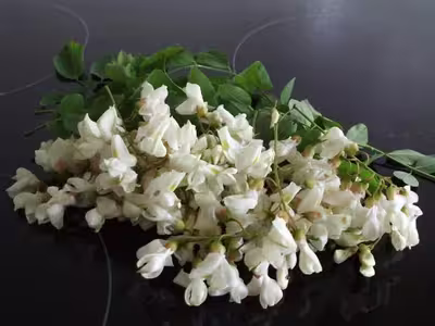 Ma gelée de fleurs d'accacia