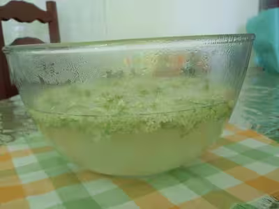 Alsace : Gelée de fleurs de sureau