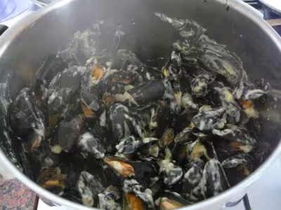 Moules à la crème pour les gourmands