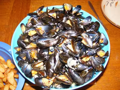 Moules au roquefort