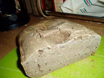 Pain au levain : il ne lève pas et est très acide!