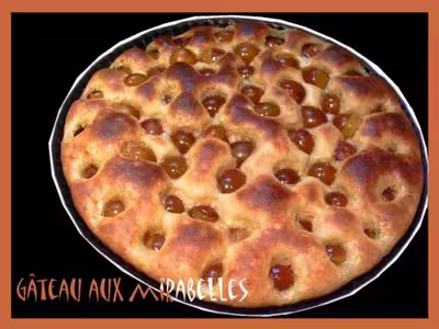 Gâteau aux mirabelles et lait concentré