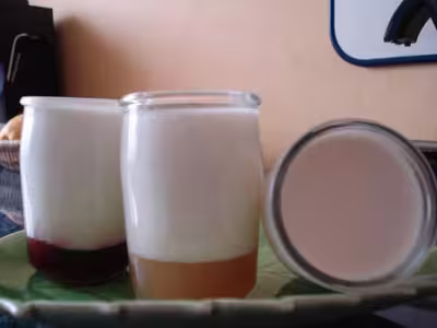 Yaourt à la confiture de pommes