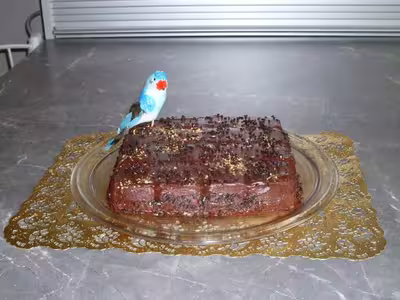 Gâteau au chocolat