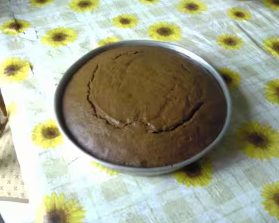 Gâteau fondant au cacao